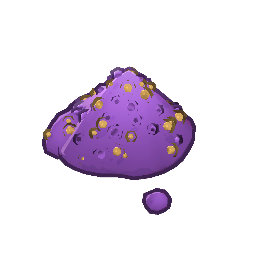 Fresh Flower Powder
